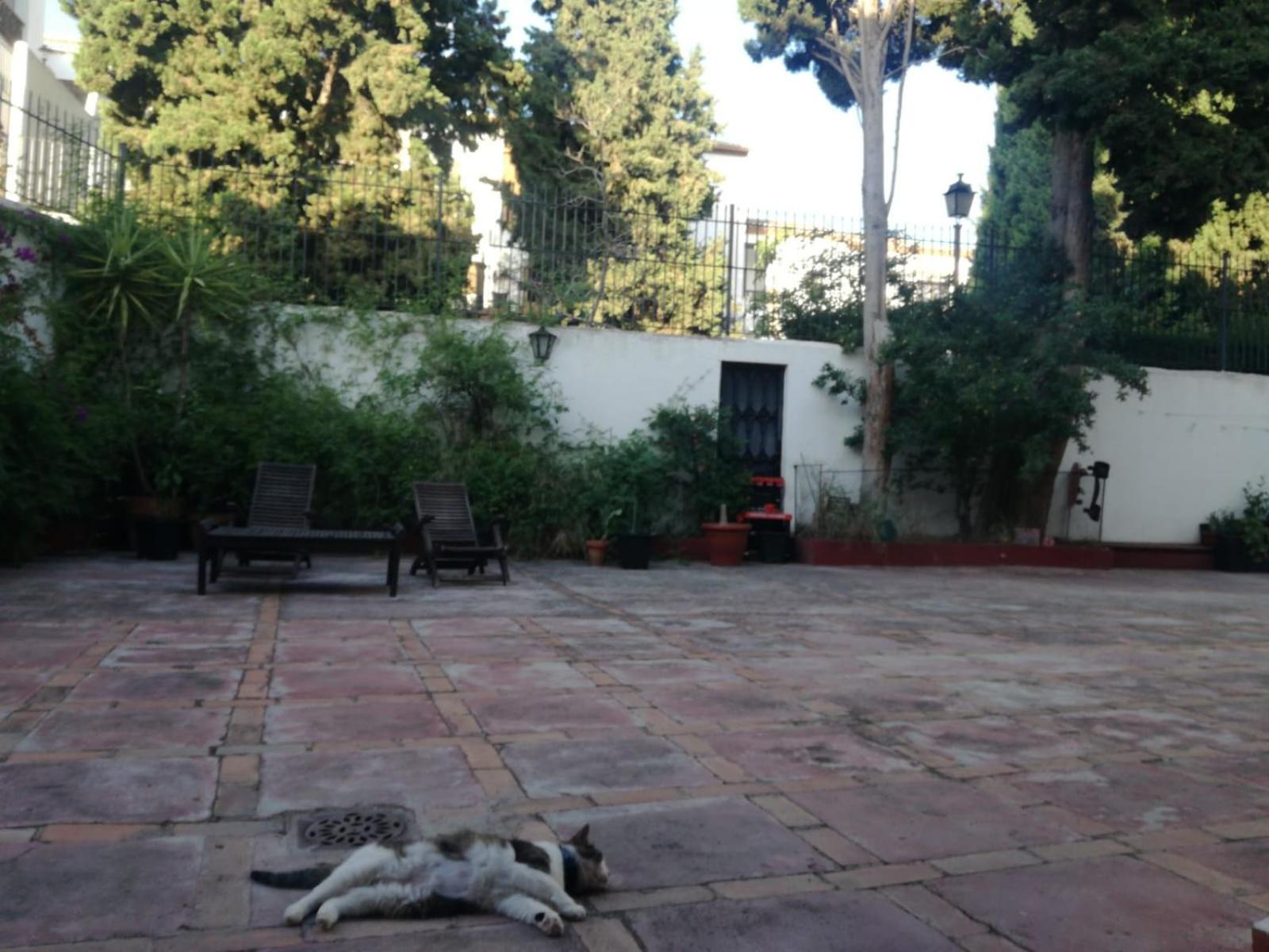 Casa Del Agua Leilighet Granada Eksteriør bilde